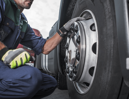 Driver Walkaround Defect, Nil Defects and In-Service Reports